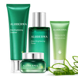 Essential Aloe Brightening Set