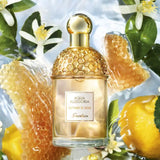 Aqua Allegoria Nettare Di Sole By Guerlain For Women 2.5oz EDT Spray