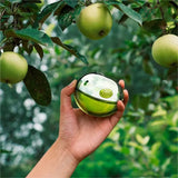 Be Delicious By DKNY For Women 3.4oz EDP Spray