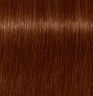 Schwarzkopf IGORA ROYAL Absolutes Permanent Anti-Age Color Creme 62 mL / 2.1 Fl. Oz.