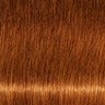 Schwarzkopf IGORA ROYAL Absolutes Permanent Anti-Age Color Creme 62 mL / 2.1 Fl. Oz.