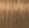 Schwarzkopf IGORA ROYAL Absolutes Permanent Anti-Age Color Creme 62 mL / 2.1 Fl. Oz.