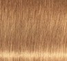 Schwarzkopf IGORA ROYAL Absolutes Permanent Anti-Age Color Creme 62 mL / 2.1 Fl. Oz.