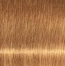 Schwarzkopf IGORA ROYAL Absolutes Permanent Anti-Age Color Creme 62 mL / 2.1 Fl. Oz.
