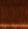 Schwarzkopf IGORA ROYAL Absolutes Permanent Anti-Age Color Creme 62 mL / 2.1 Fl. Oz.