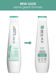 Biolage Scalp Sync Anti-Dandruff Shampoo
